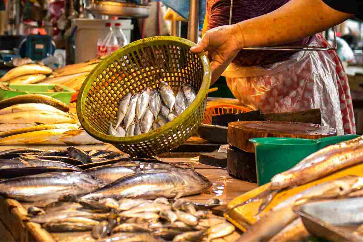 Come scegliere il pesce fresco senza farsi ingannare