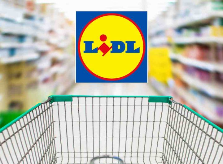 lidl nuove offerte