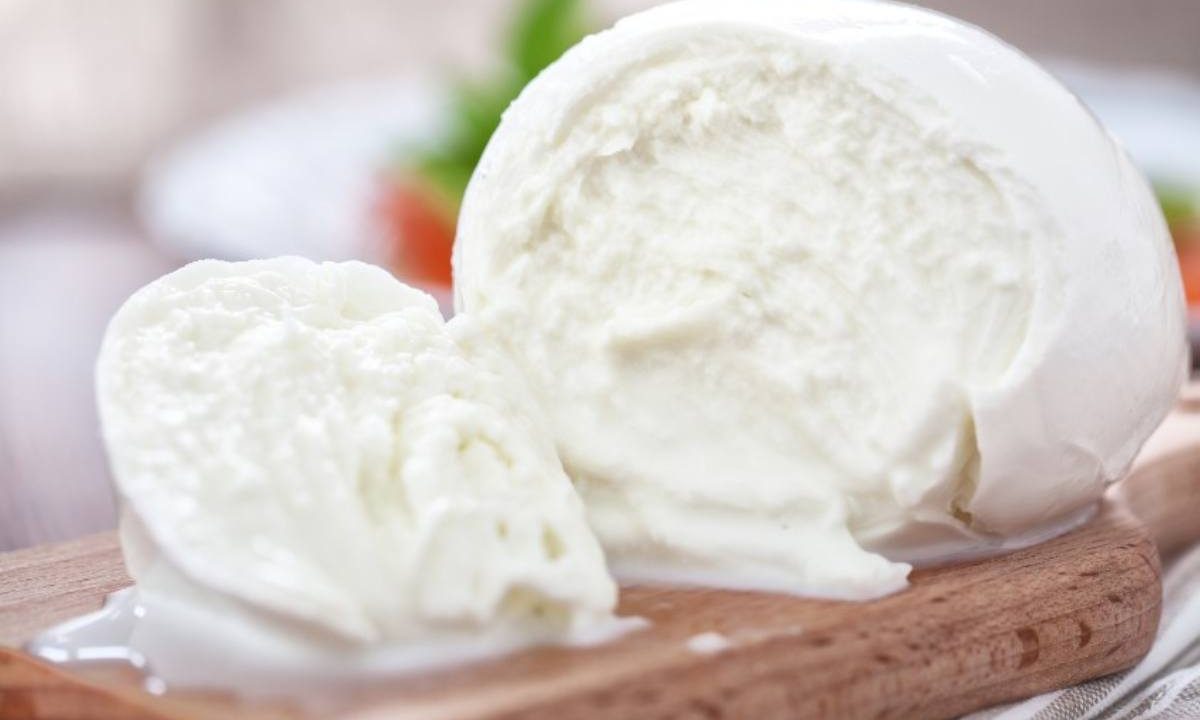 Migliore mozzarella