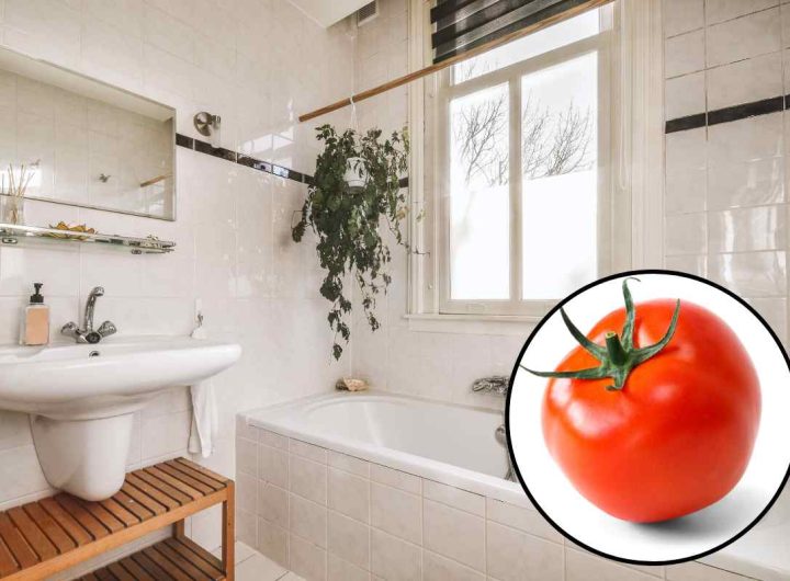 pulizia bagno trucco pomodoro