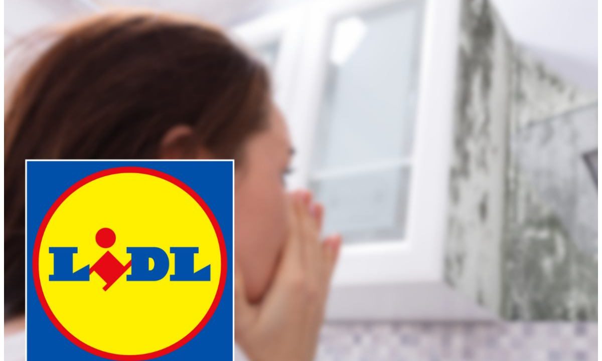 umidità offerta lidl