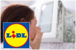 umidità offerta lidl