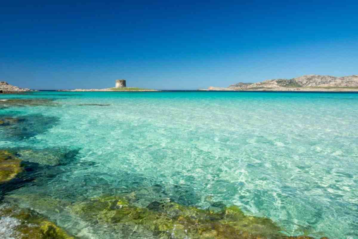 La Pelosa, Sardegna