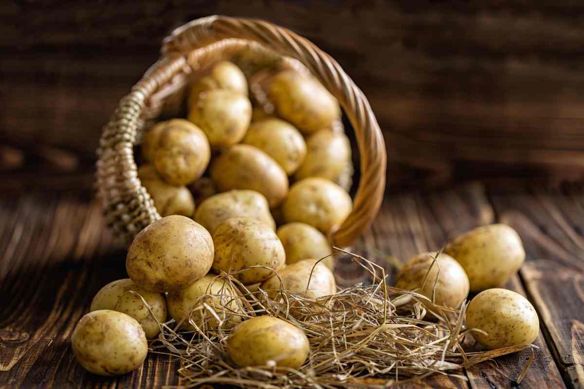 Patate, rischio cancro elevato se le cuoci in questo modo